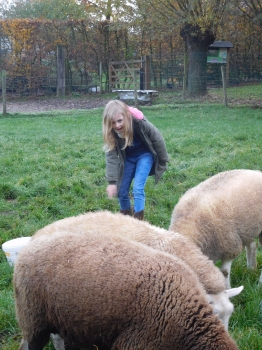 Boerderijklas3_131