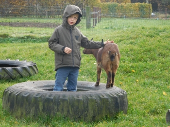 Boerderijklas3_133