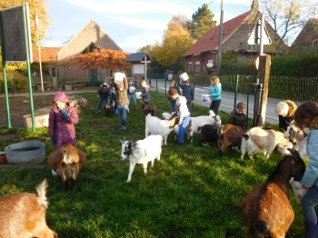 Boerderijklas3_74