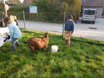 Boerderijklas3_75