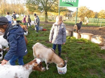 Boerderijklas3_83