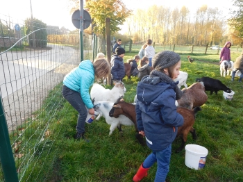 Boerderijklas3_84