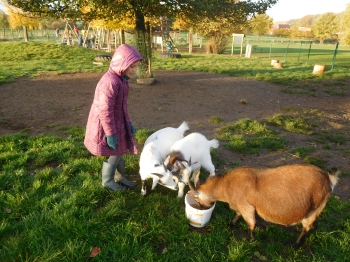 Boerderijklas3_90