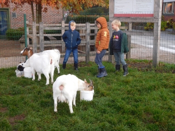 Boerderijklas3_95