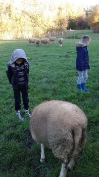 Boerderijklas