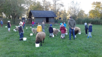 Boerderijklas4_29