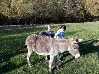 Boerderijklas