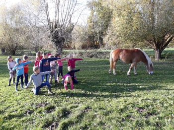 Boerderijklas4_85