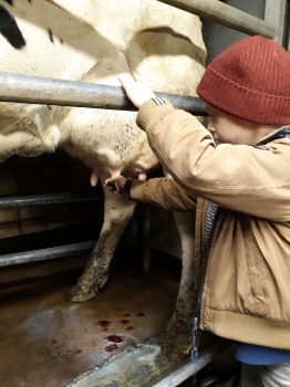 Boerderijklas_73