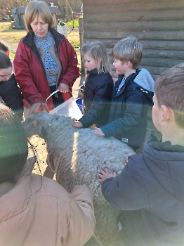 Boerderijklassen deel 1_102