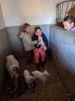 Boerderijklassen deel 1_114