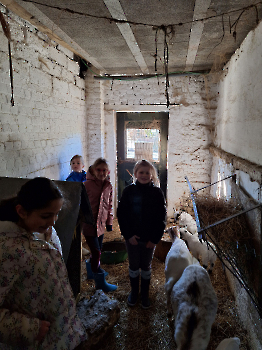 Boerderijklassen deel 1_117