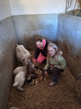 Boerderijklassen deel 1_119