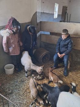 Boerderijklassen deel 1_120