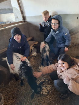 Boerderijklassen deel 1_121