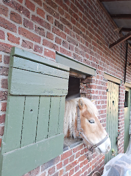 Boerderijklassen deel 1_123