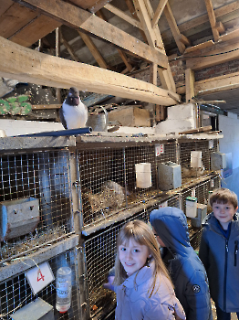 Boerderijklassen deel 1_128