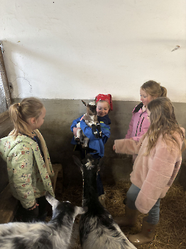 Boerderijklassen deel 1_19