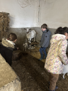 Boerderijklassen deel 1_1