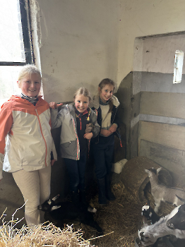 Boerderijklassen deel 1_22