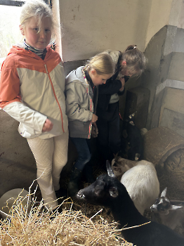 Boerderijklassen deel 1_24
