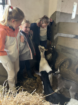 Boerderijklassen deel 1_25