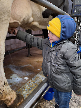Boerderijklassen deel 1_61