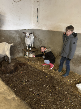 Boerderijklassen deel 2_148
