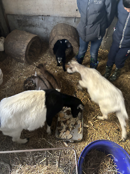 Boerderijklassen deel 2_18