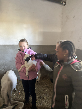 Boerderijklassen deel 2_19