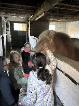 Boerderijklassen deel 2_25