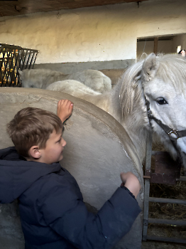 Boerderijklassen deel 2_26