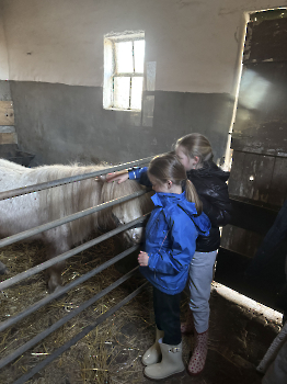 Boerderijklassen deel 2_27
