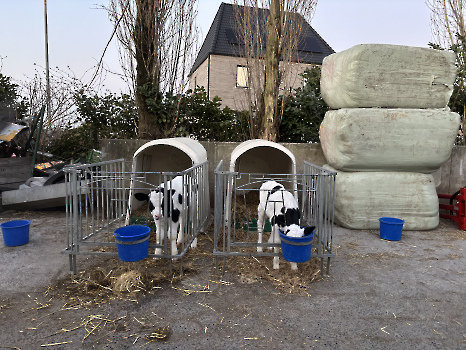 Boerderijklassen deel 2_48