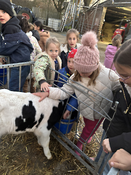 Boerderijklassen deel 2_50