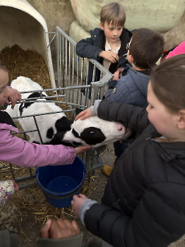 Boerderijklassen deel 2_52