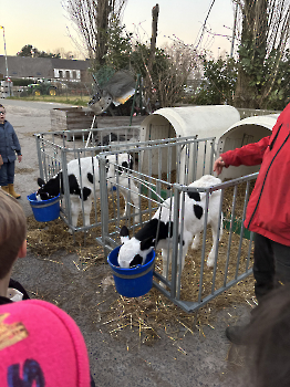 Boerderijklassen deel 2_53