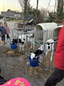 Boerderijklassen deel 2_54