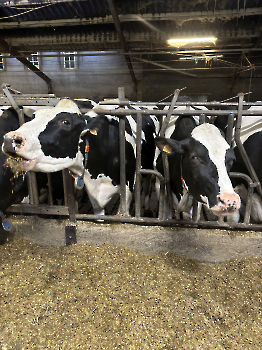 Boerderijklassen deel 2_59