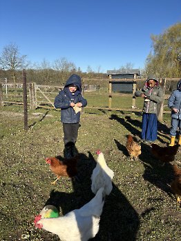 Boerderijklassen deel 2_5