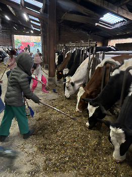 Boerderijklassen deel 2_67