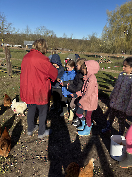 Boerderijklassen deel 2_8