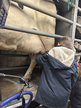 Boerderijklassen deel 3_105