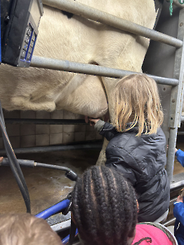 Boerderijklassen deel 3_110