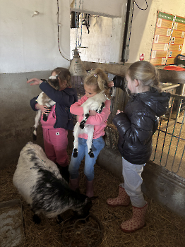 Boerderijklassen deel 3_155