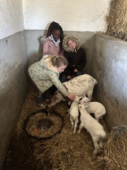 Boerderijklassen deel 3_156