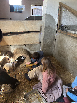 Boerderijklassen deel 3_158