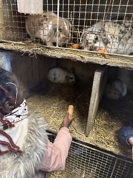 Boerderijklassen deel 3_178