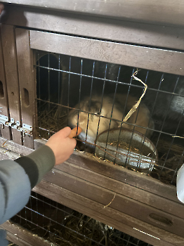Boerderijklassen deel 3_180