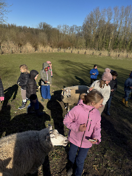 Boerderijklassen deel 3_192